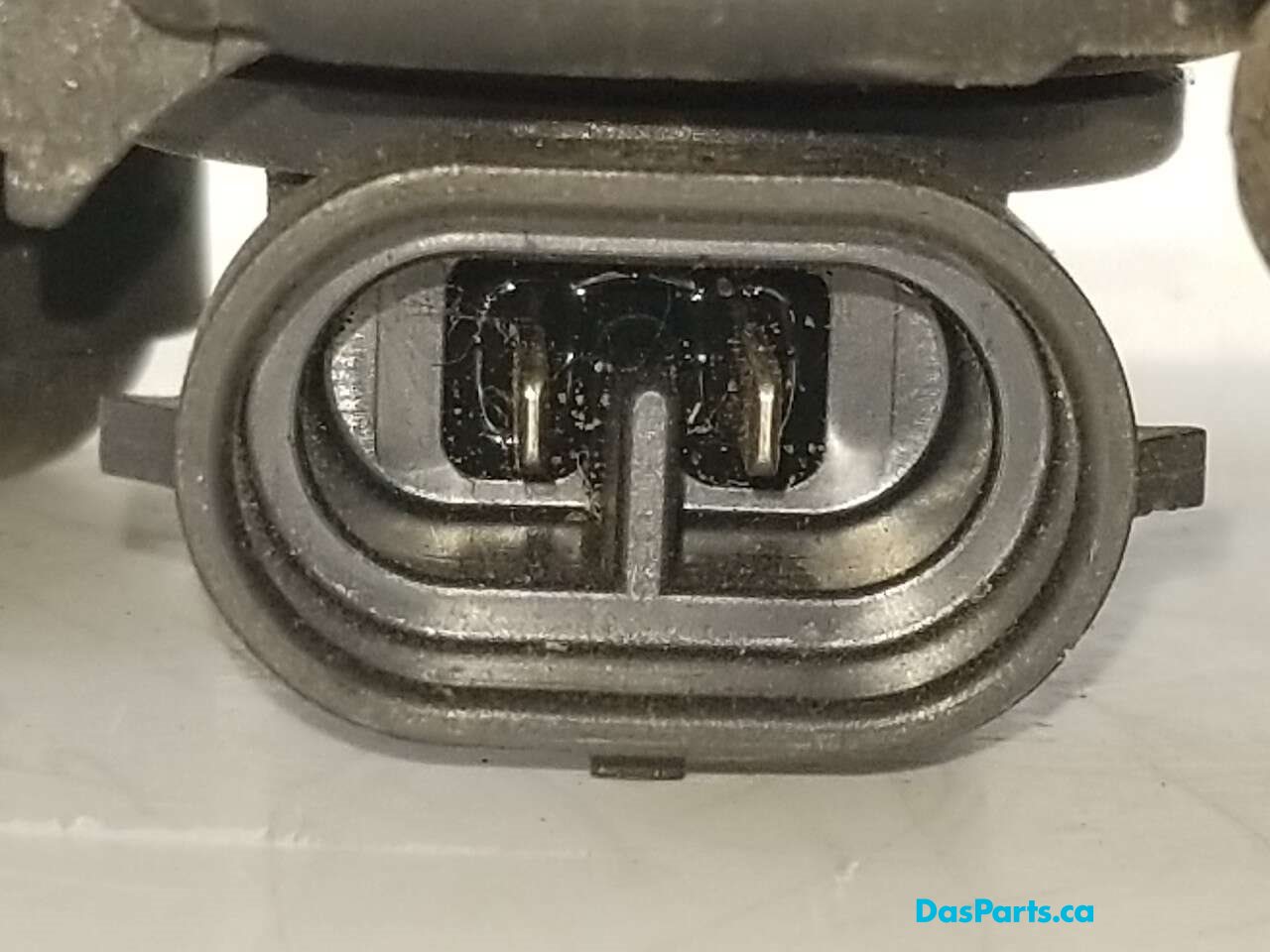 Fog Light L