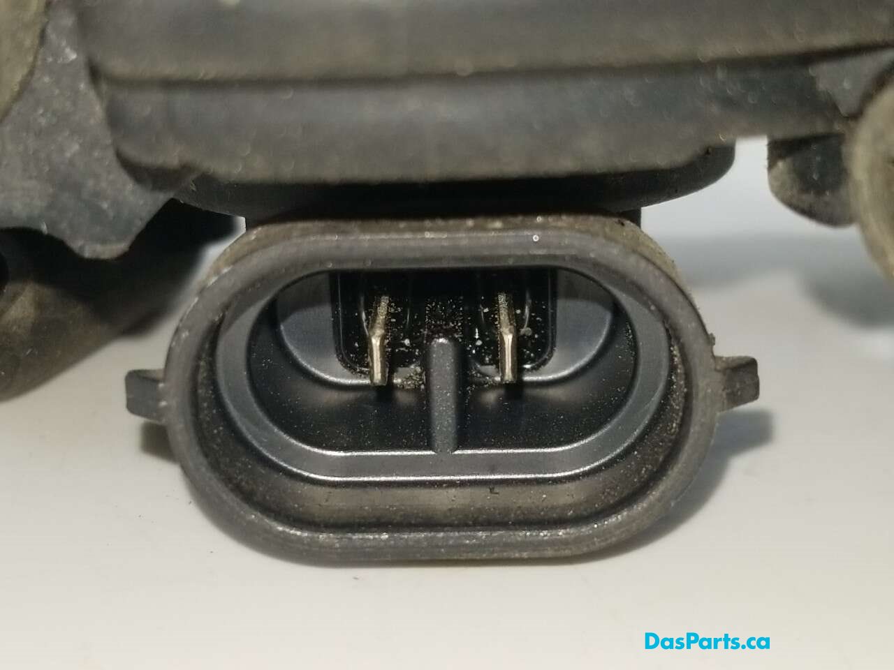 Fog Light L