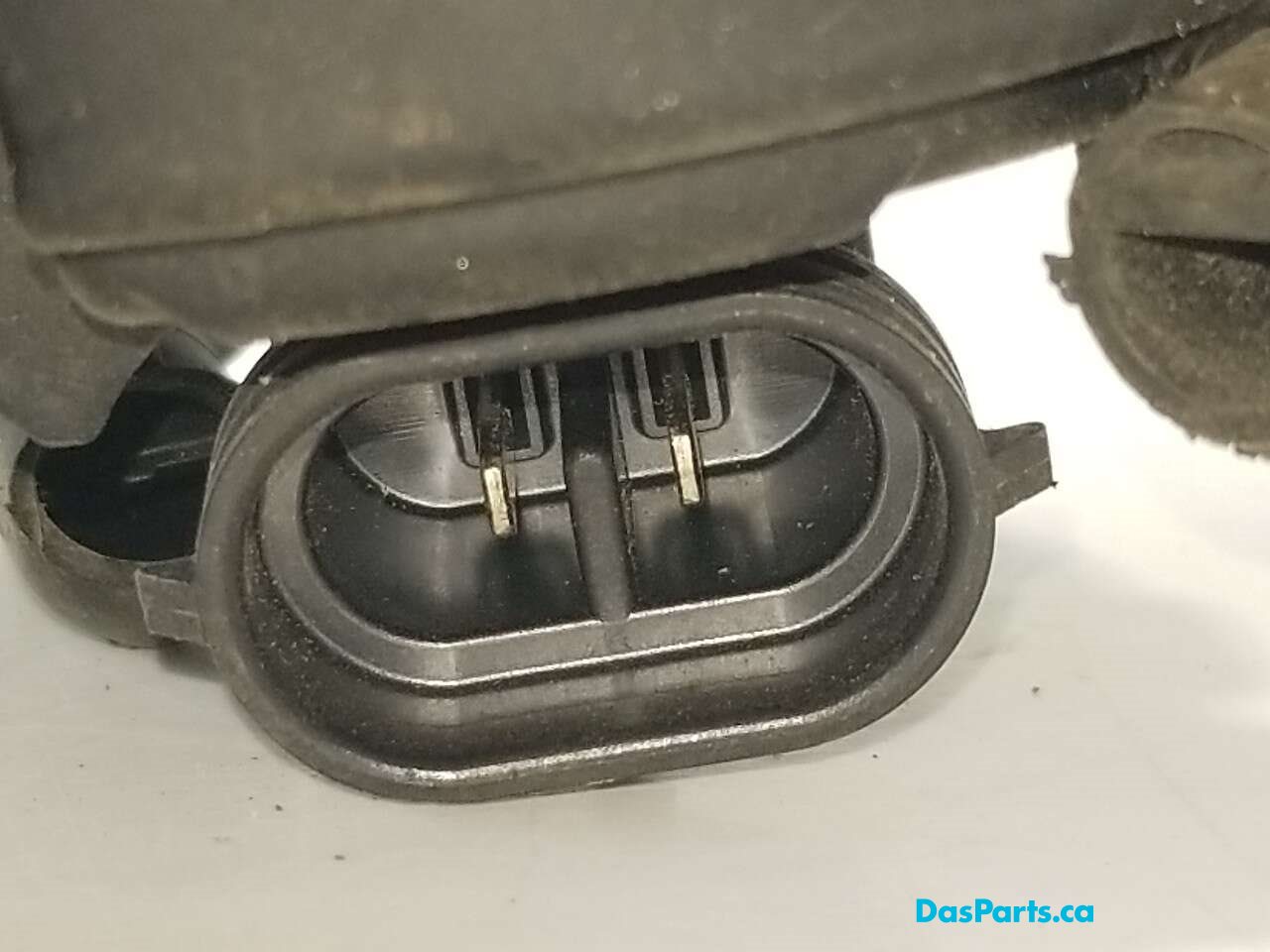 Fog Light L