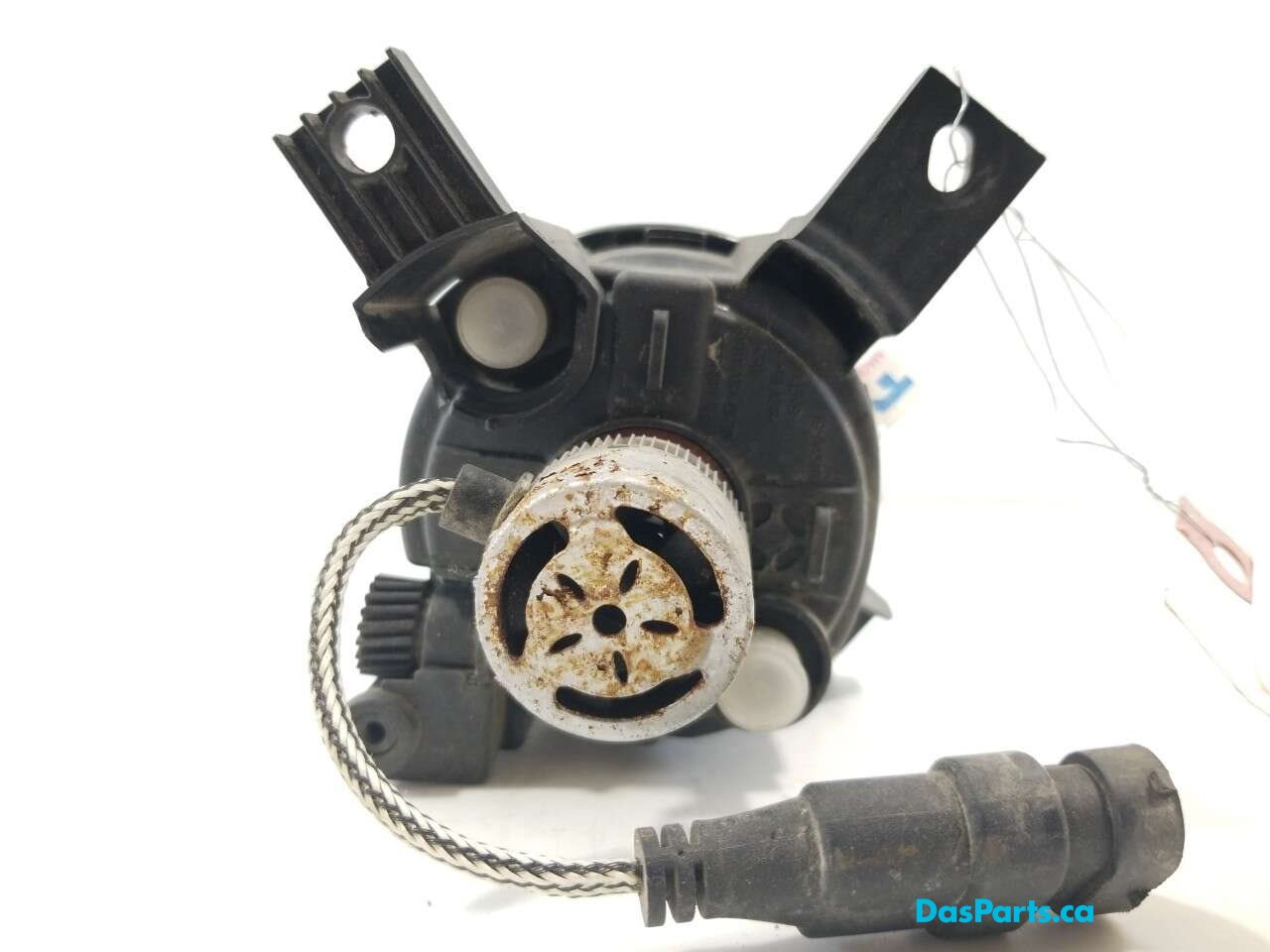 Fog Light L