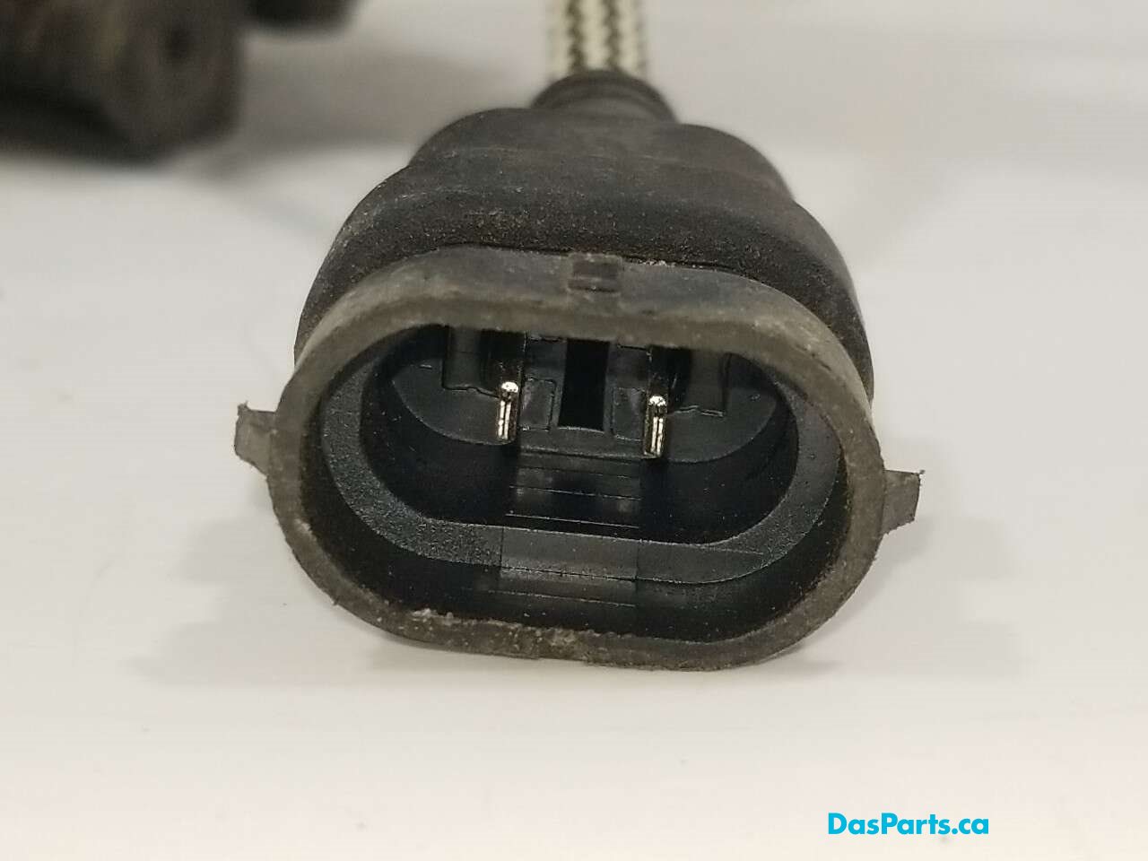 Fog Light L