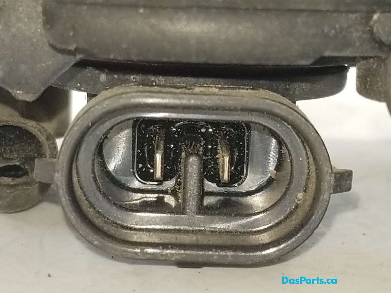 Fog Light L