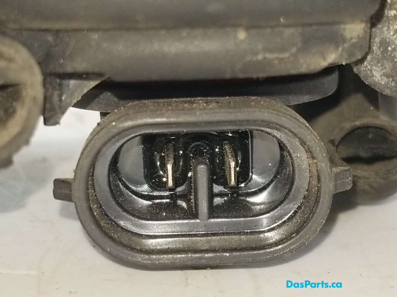 Fog Light R