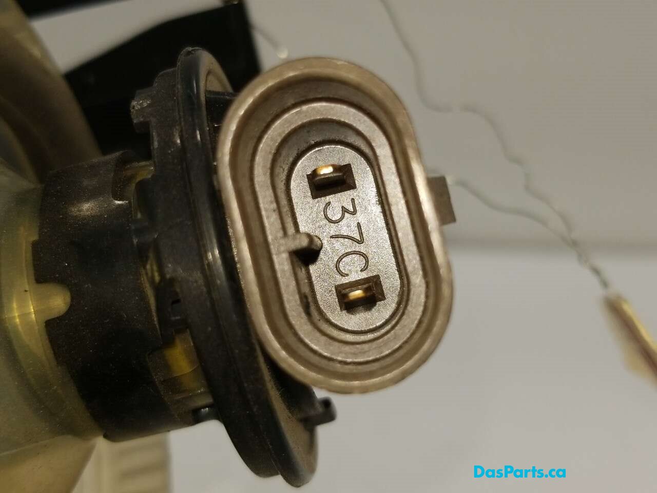 Fog Light L