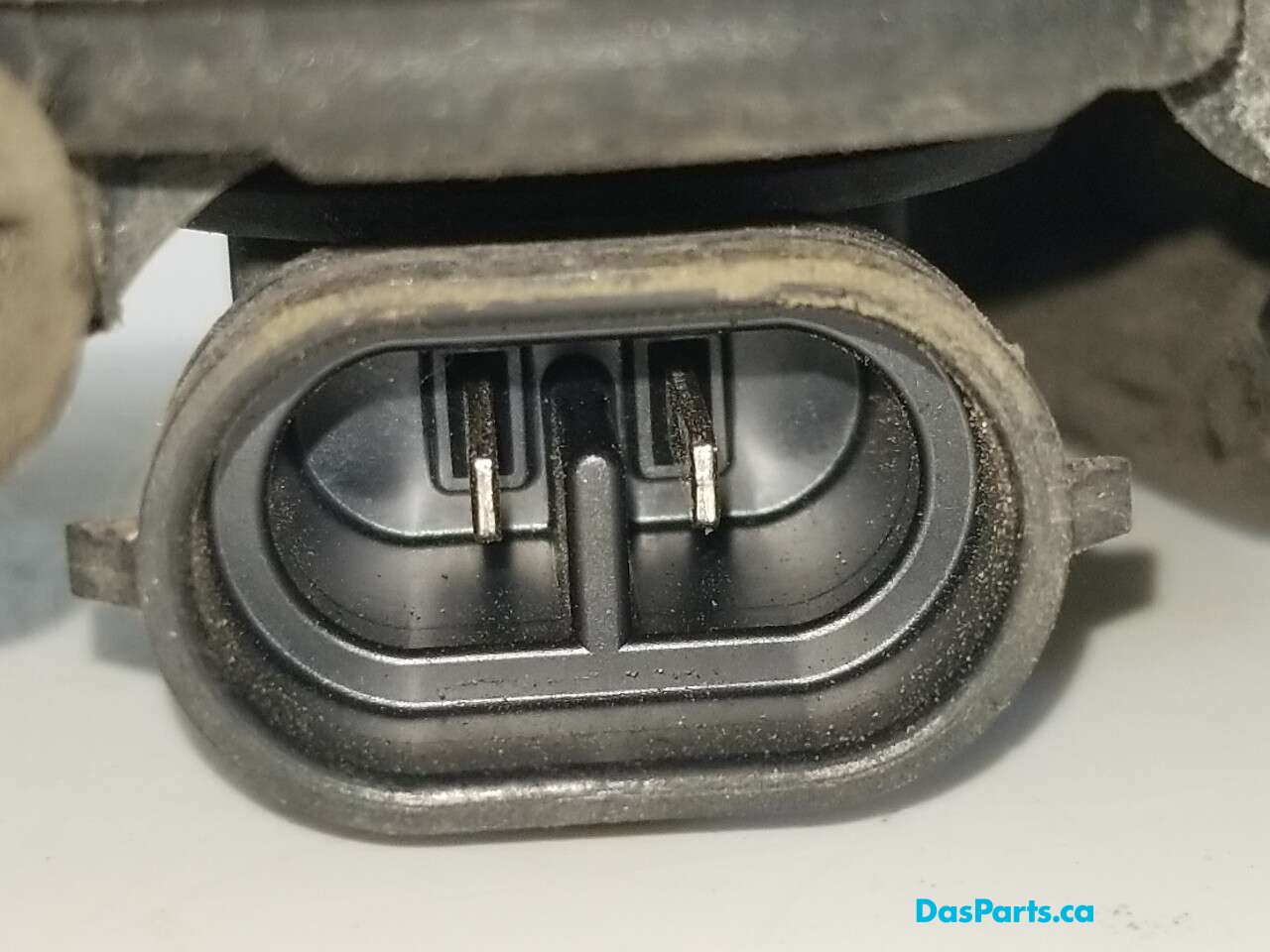 Fog Light R