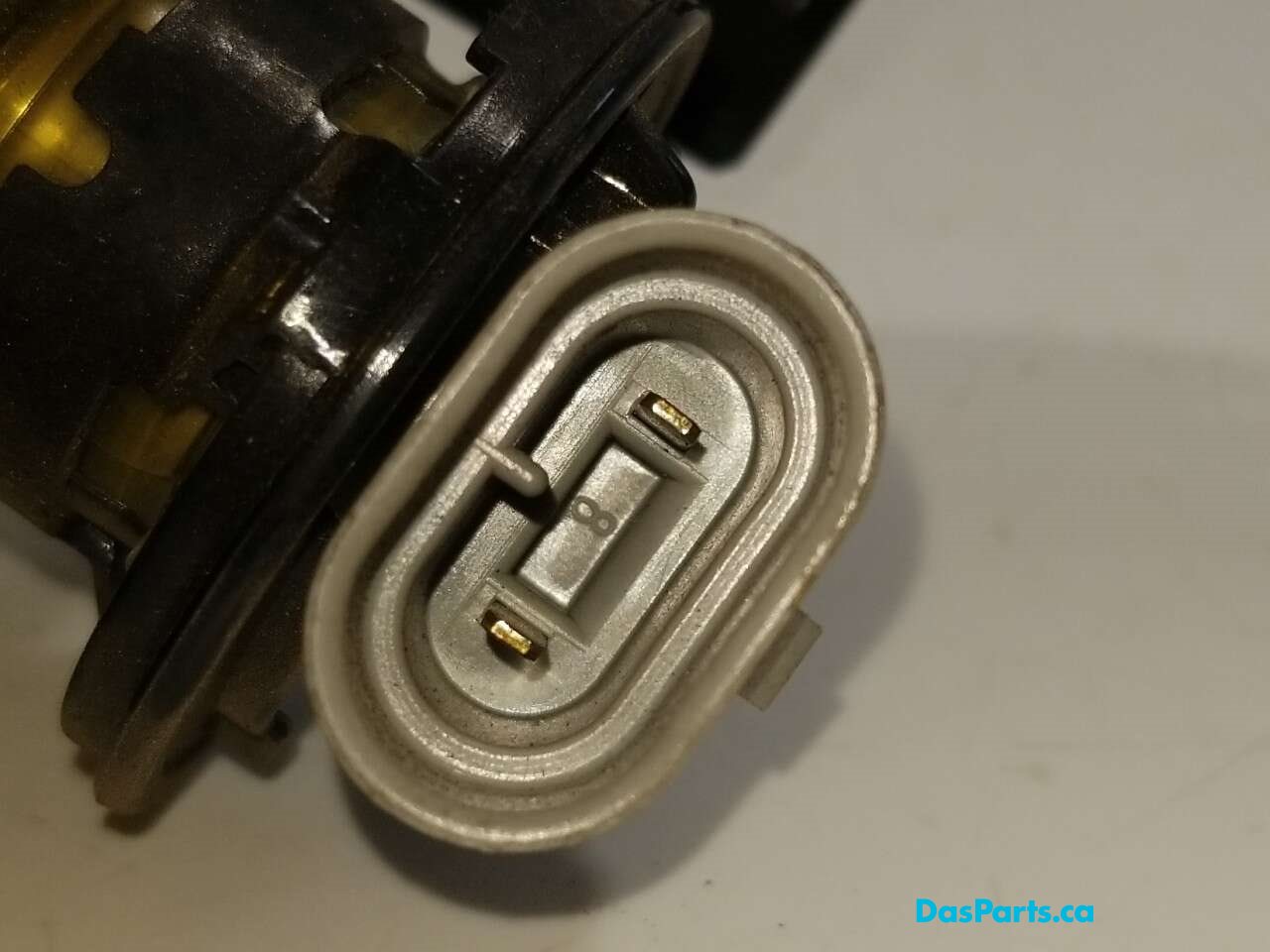 Fog Light L