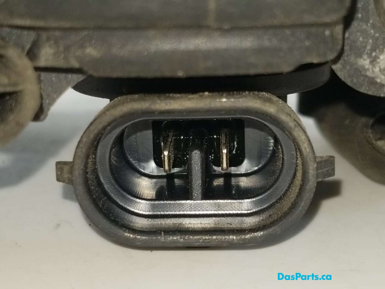 Fog Light R