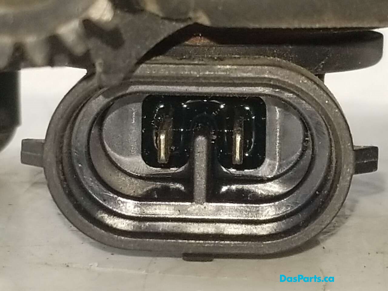 Fog Light L