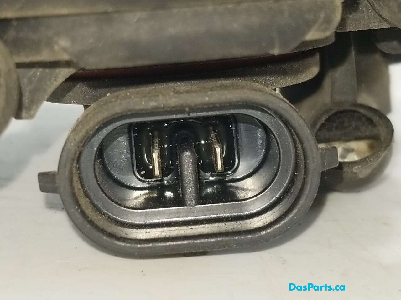 Fog Light R