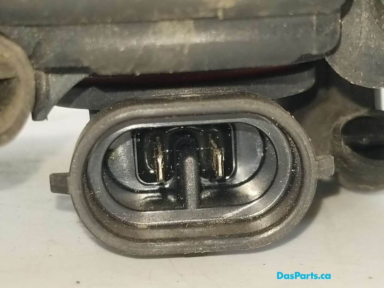 Fog Light R