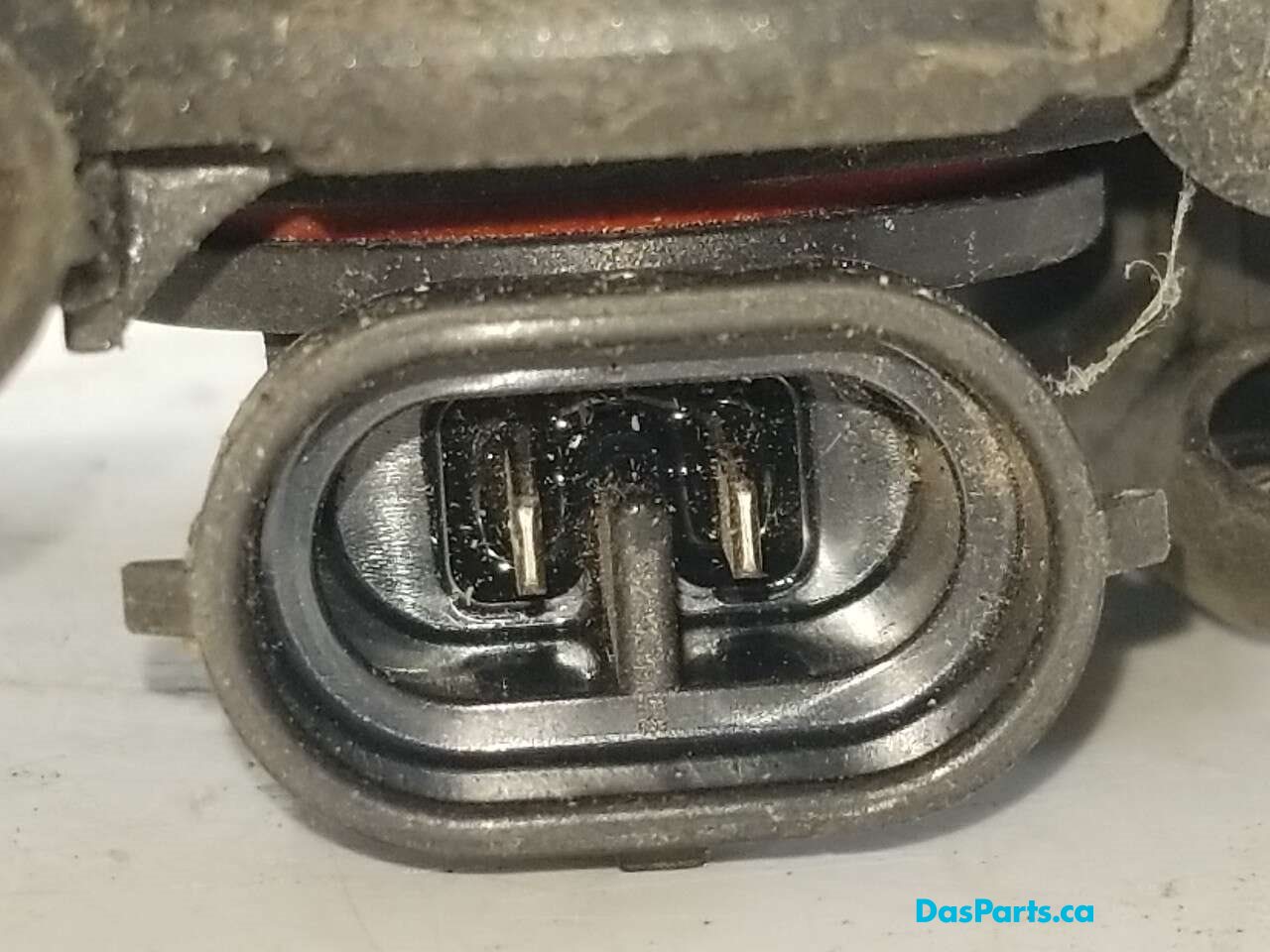 Fog Light R