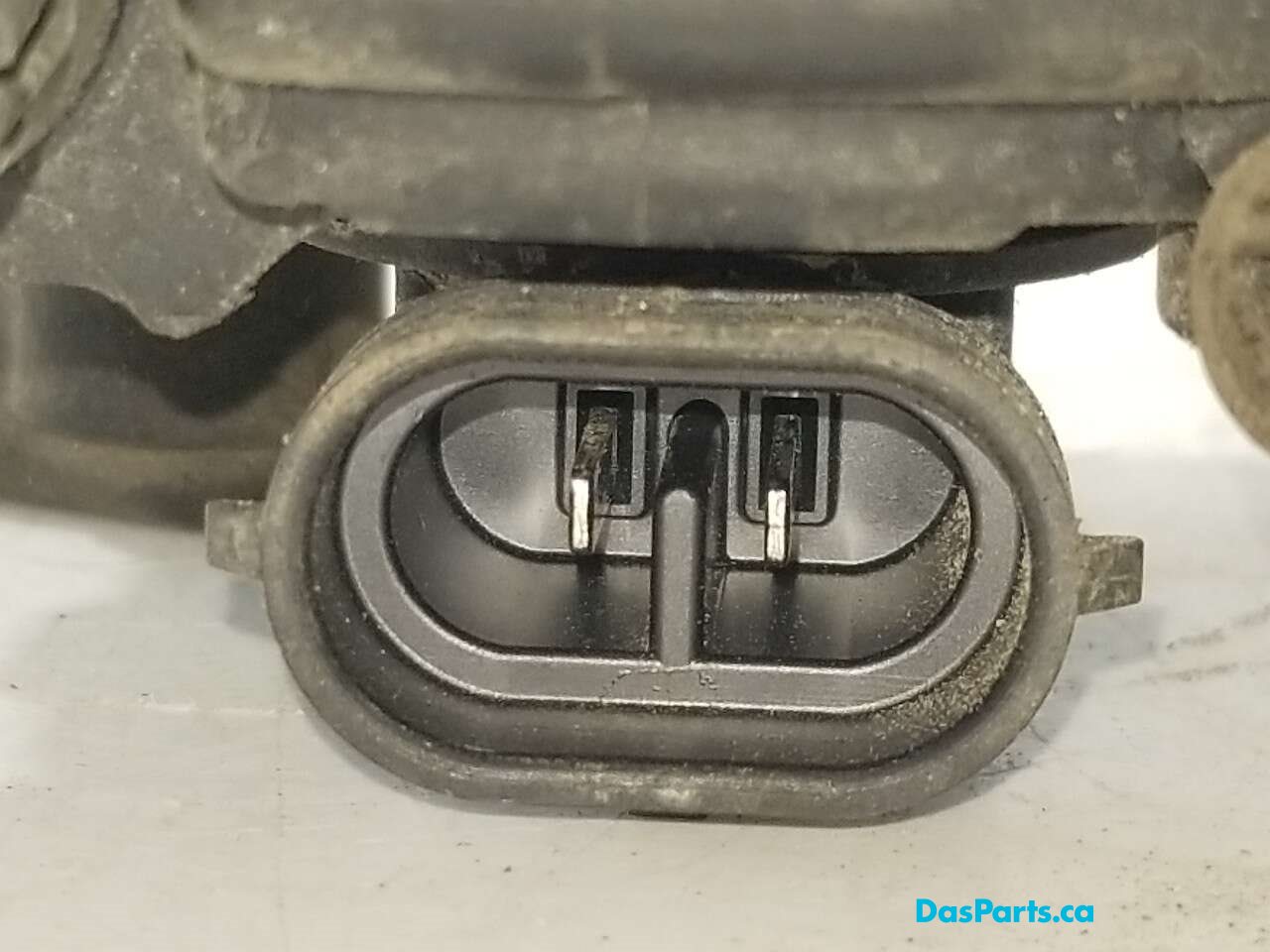 Fog Light L