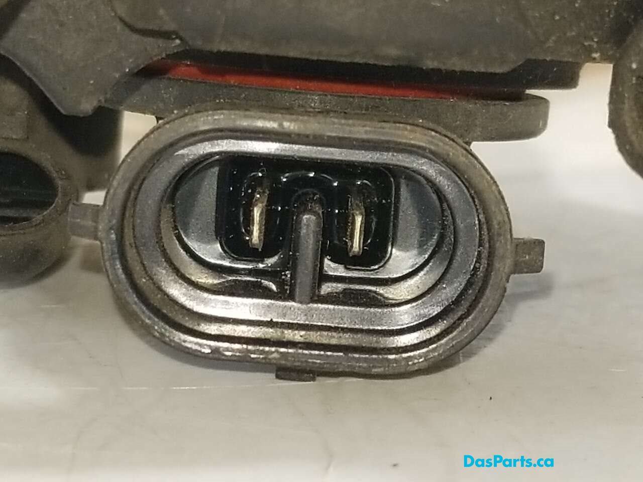 Fog Light L