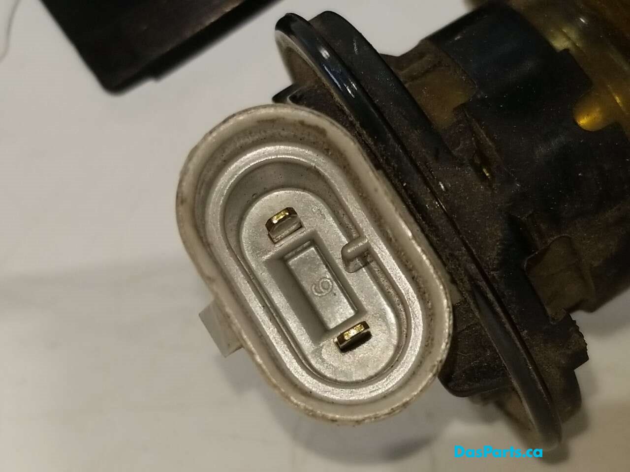 Fog Light R