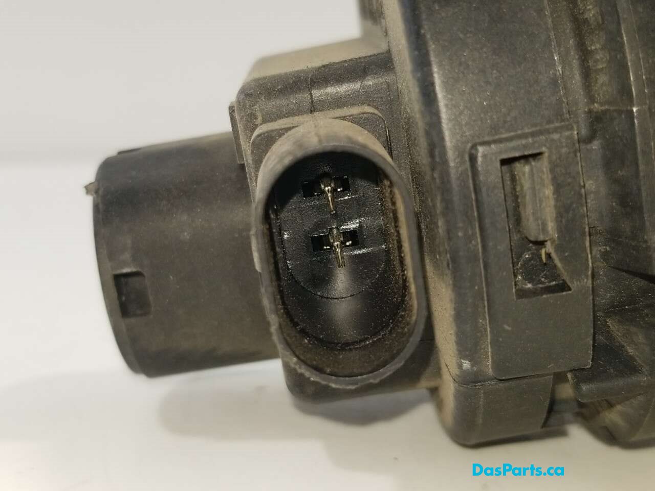 Fog Light R