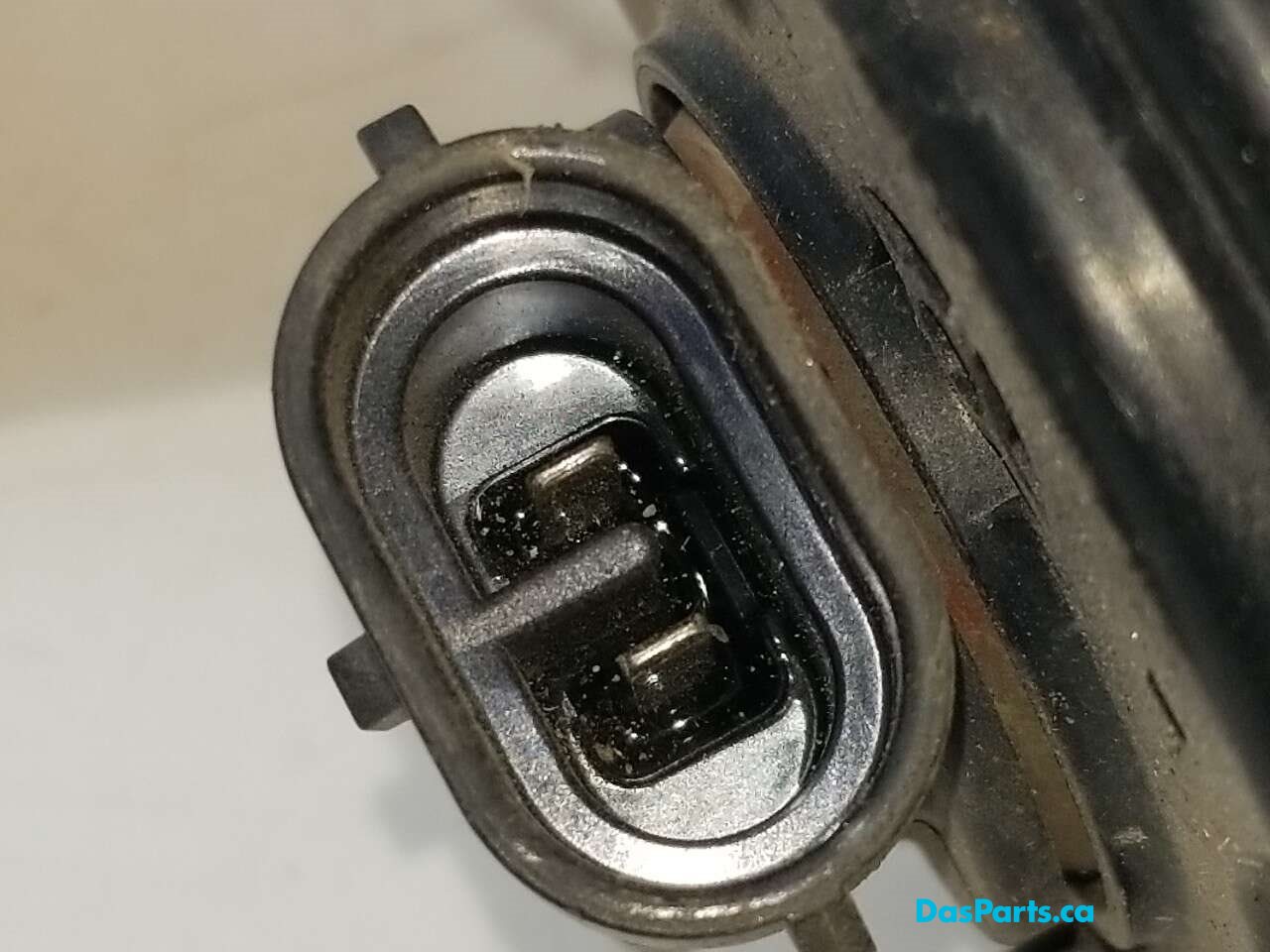 Fog Light L