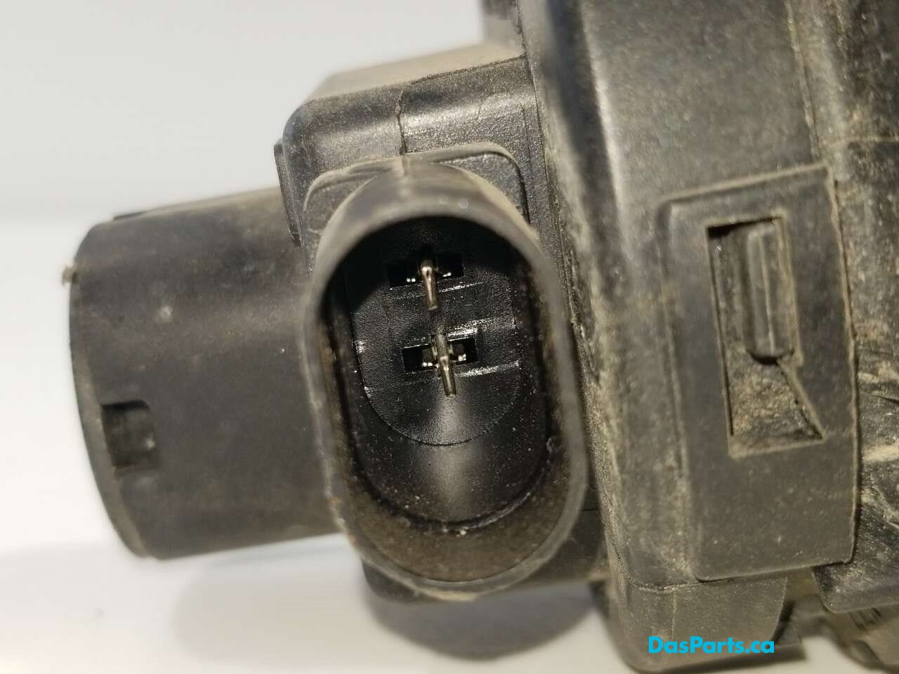 Fog Light R