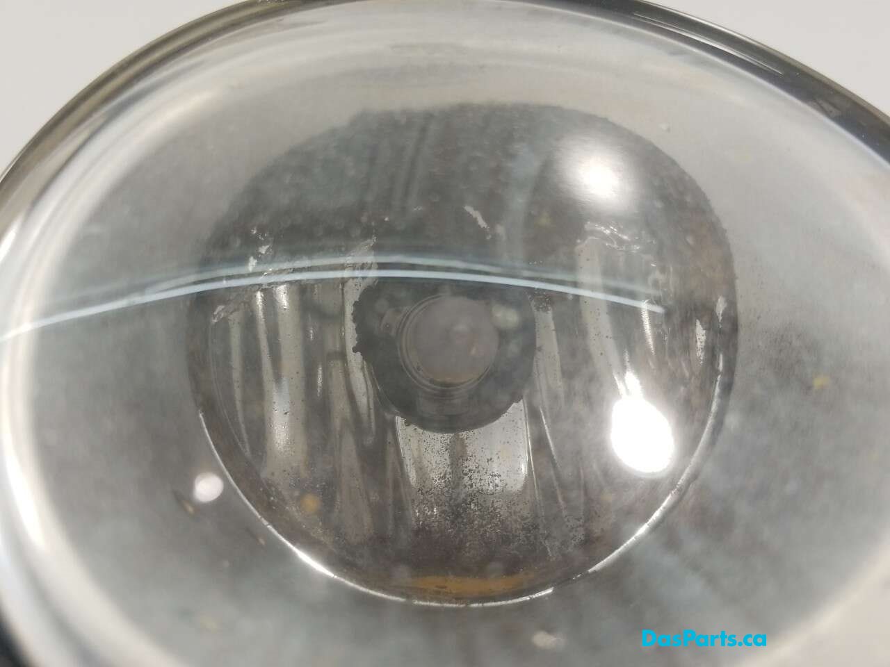 Fog Light R