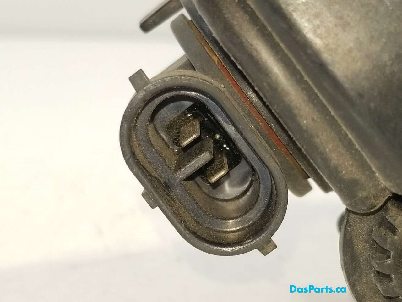 Fog Light R