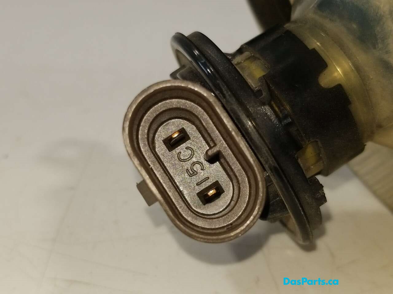 Fog Light L