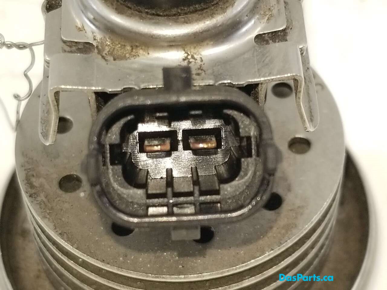 DEF Injector