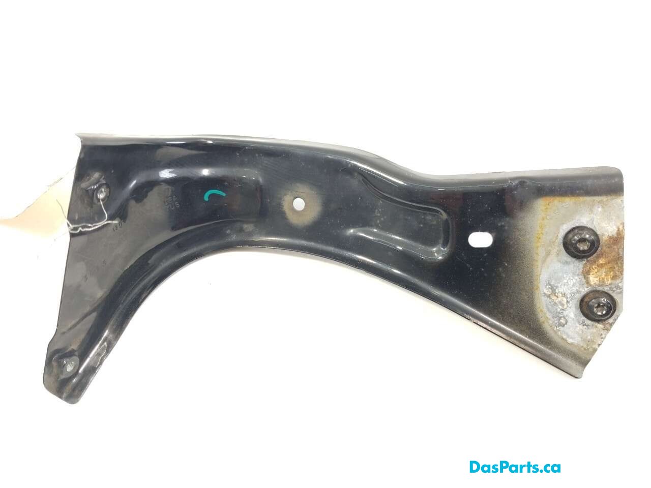 Fender Support LF