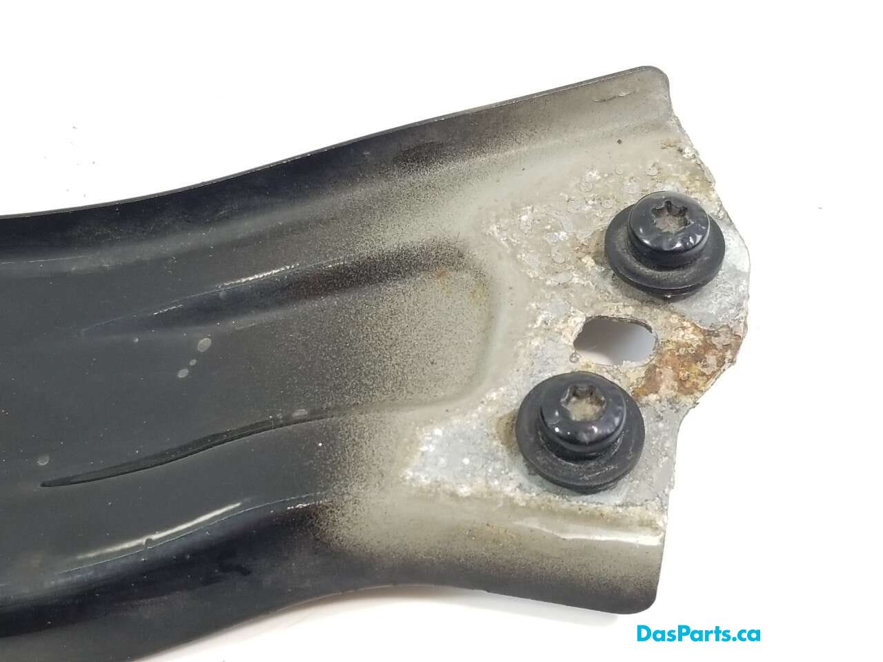 Fender Support RF
