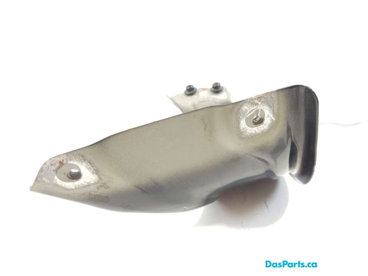 Fender Support RF