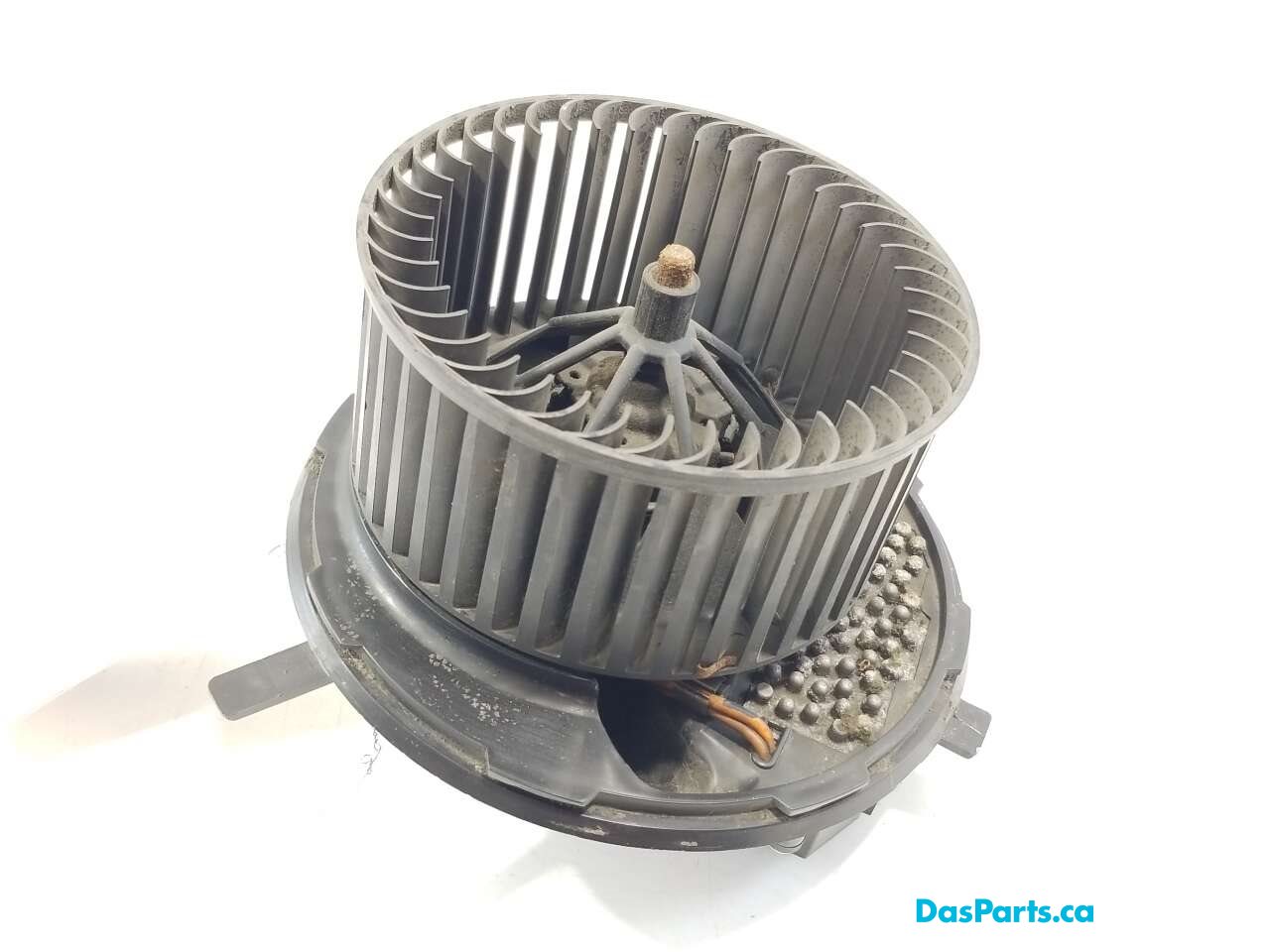 Blower Motor