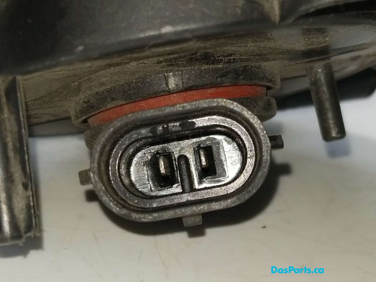 Fog Light L