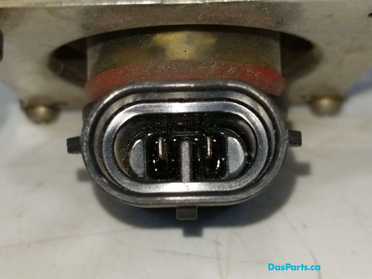 Fog Light L