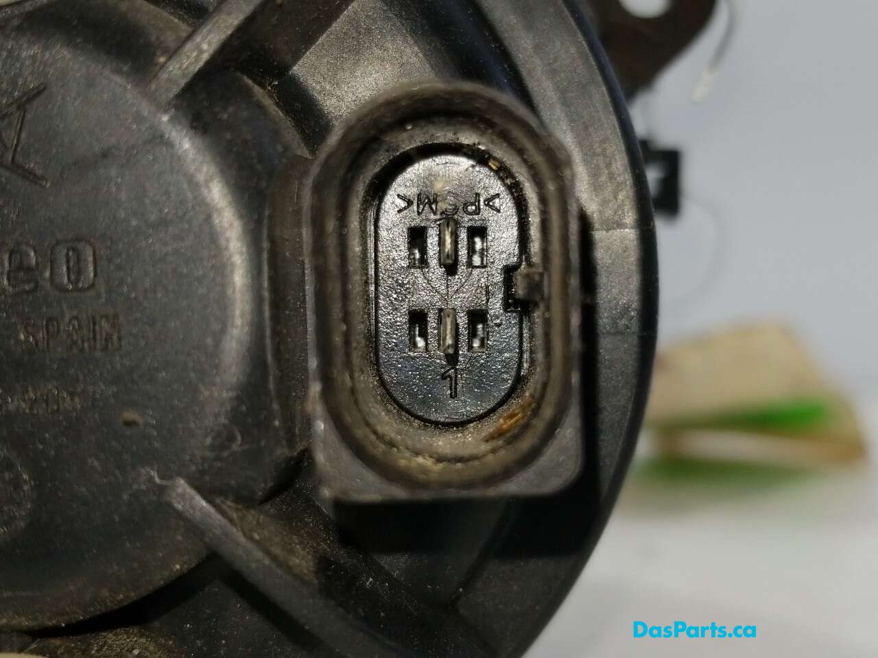 Fog Light R