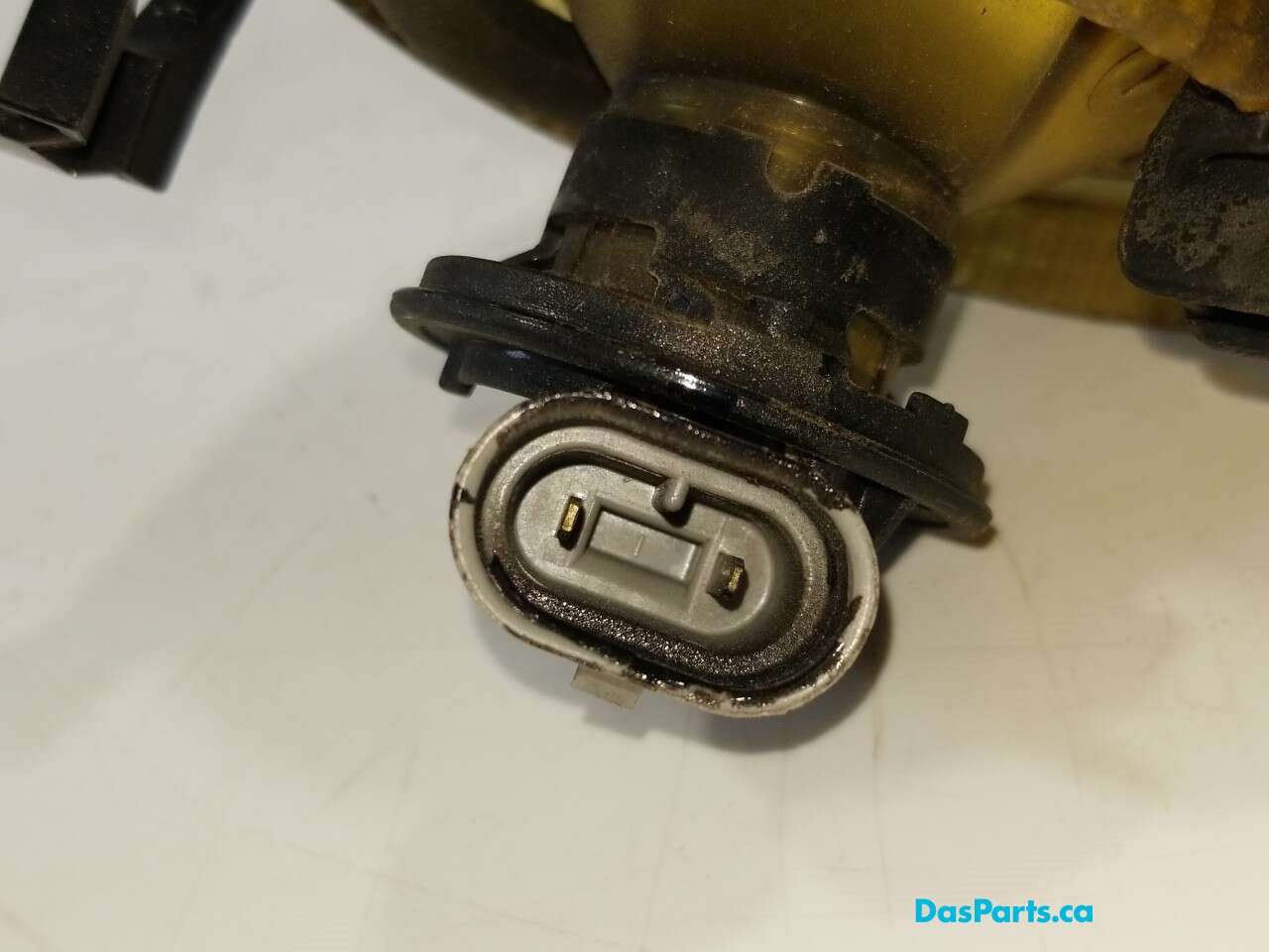Fog Light L
