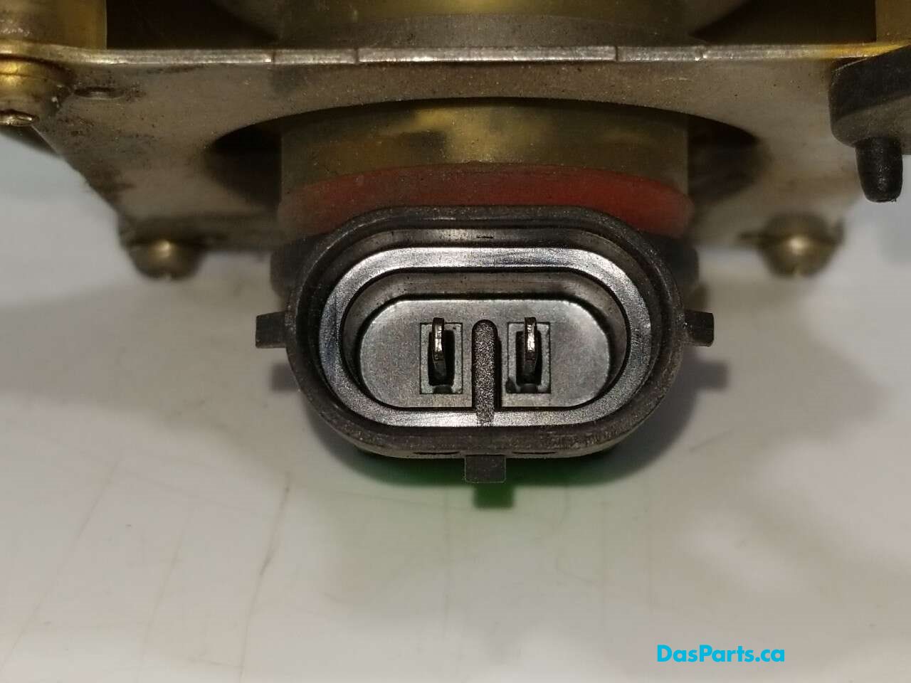Fog Light R