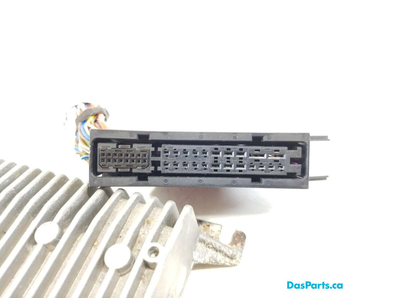 Amplifier OEM