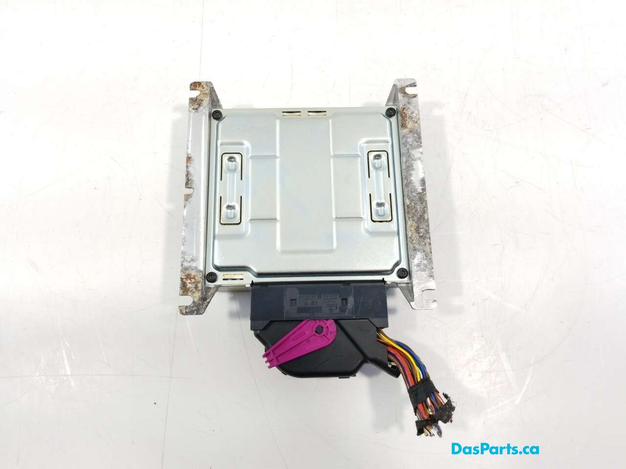 Amplifier OEM