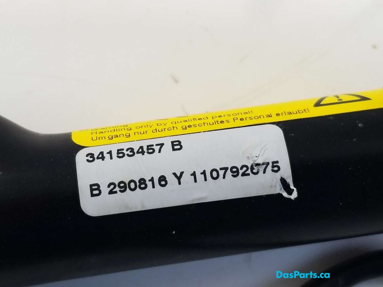 Seat Belt LF