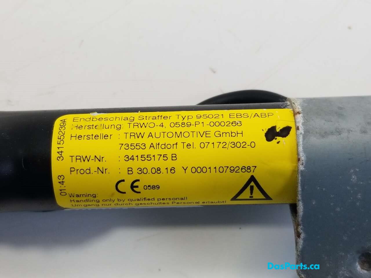 Seat Belt LF