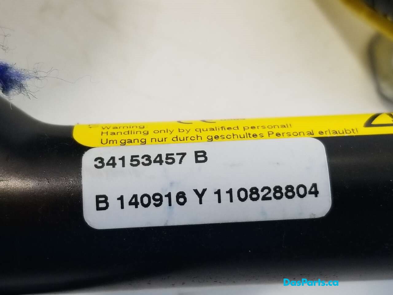 Seat Belt RF
