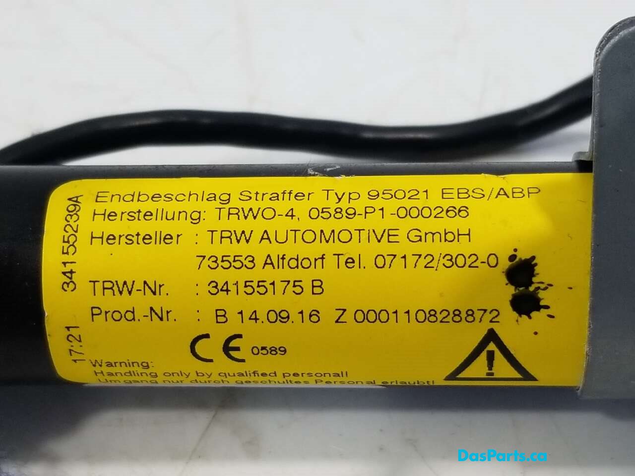 Seat Belt RF