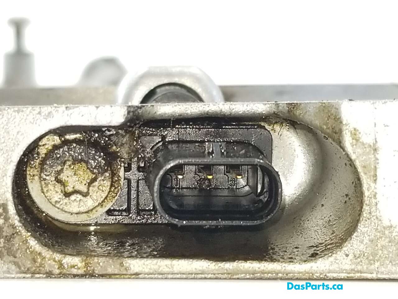 Timing Cover Lower