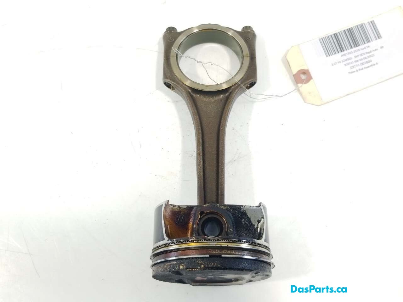 Piston & Rod Assembly 6