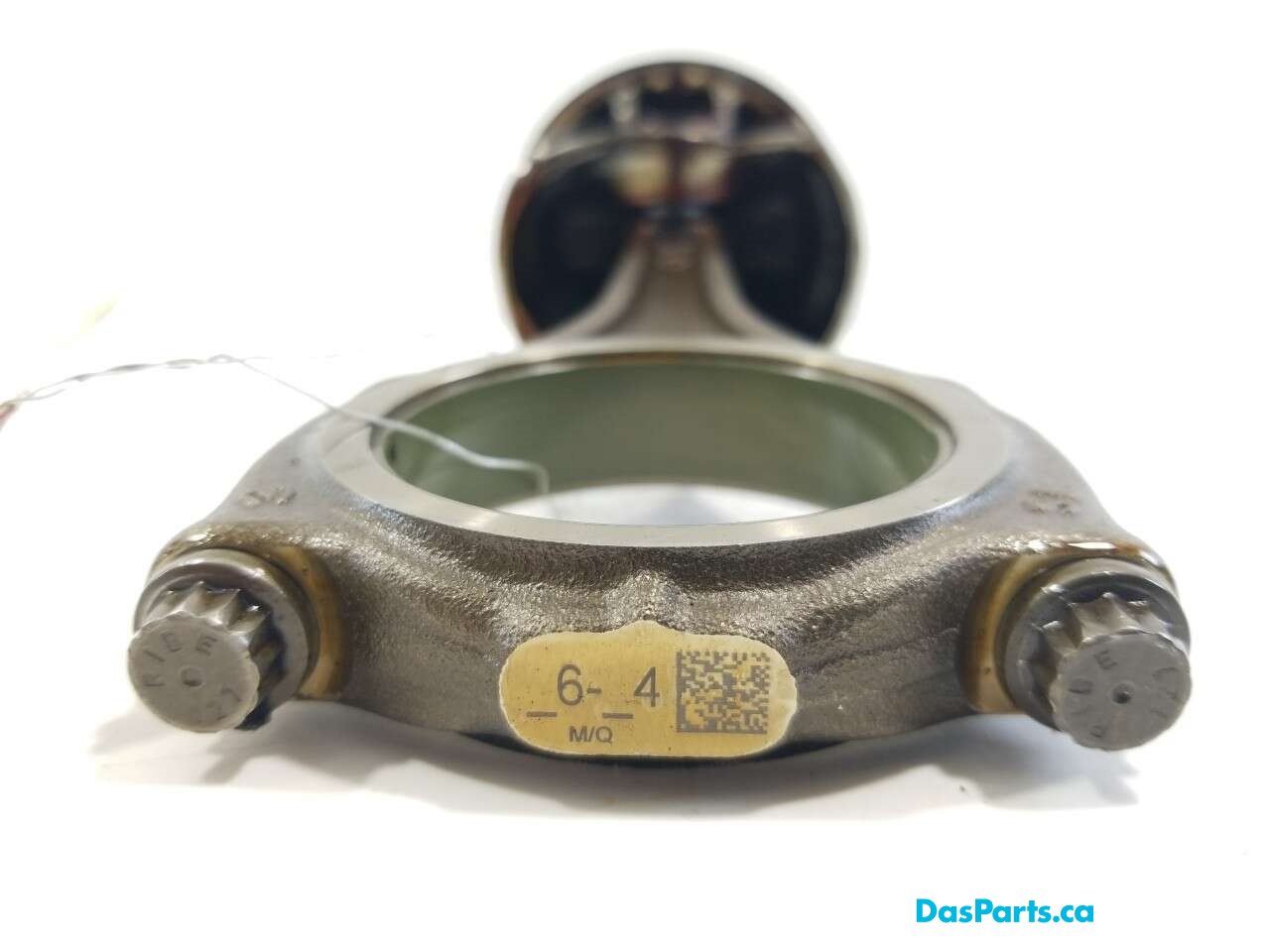 Piston & Rod Assembly 6