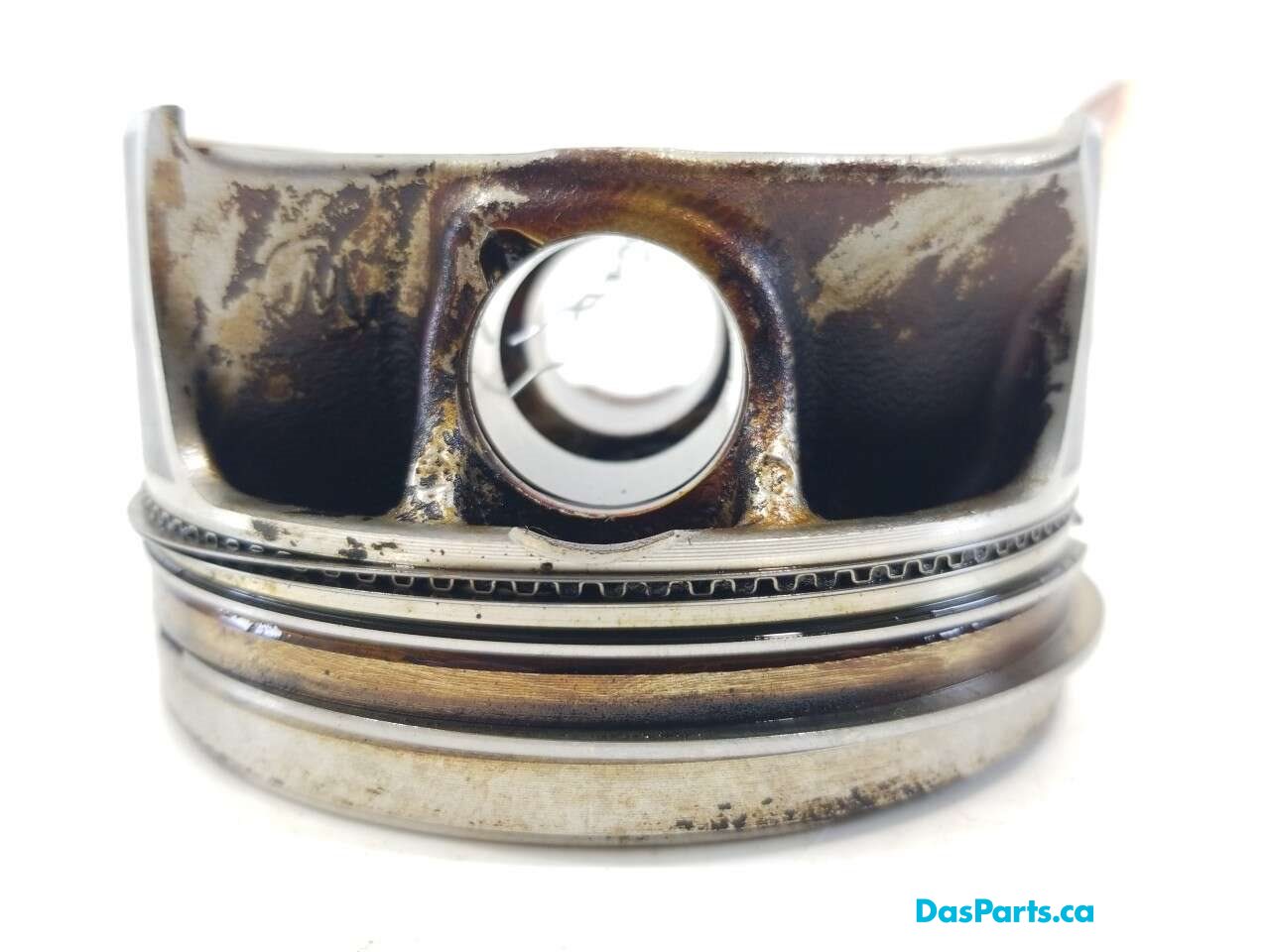 Piston & Rod Assembly 1