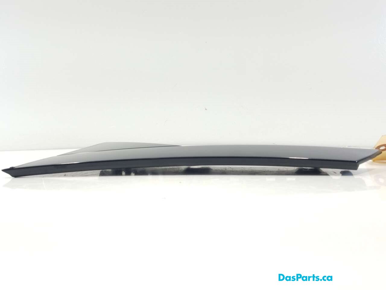 Door Applique LR Rearward