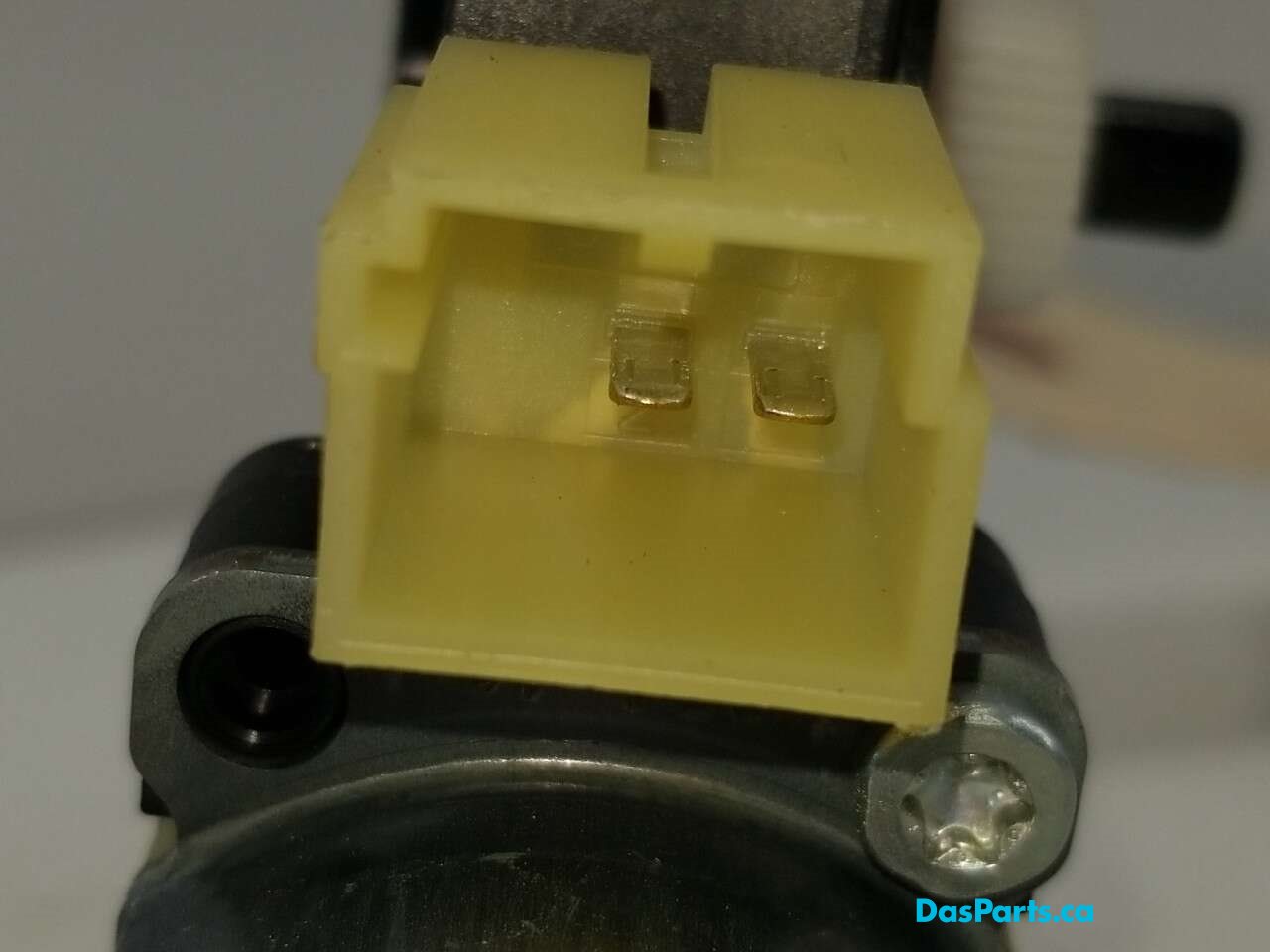 Window Motor LR