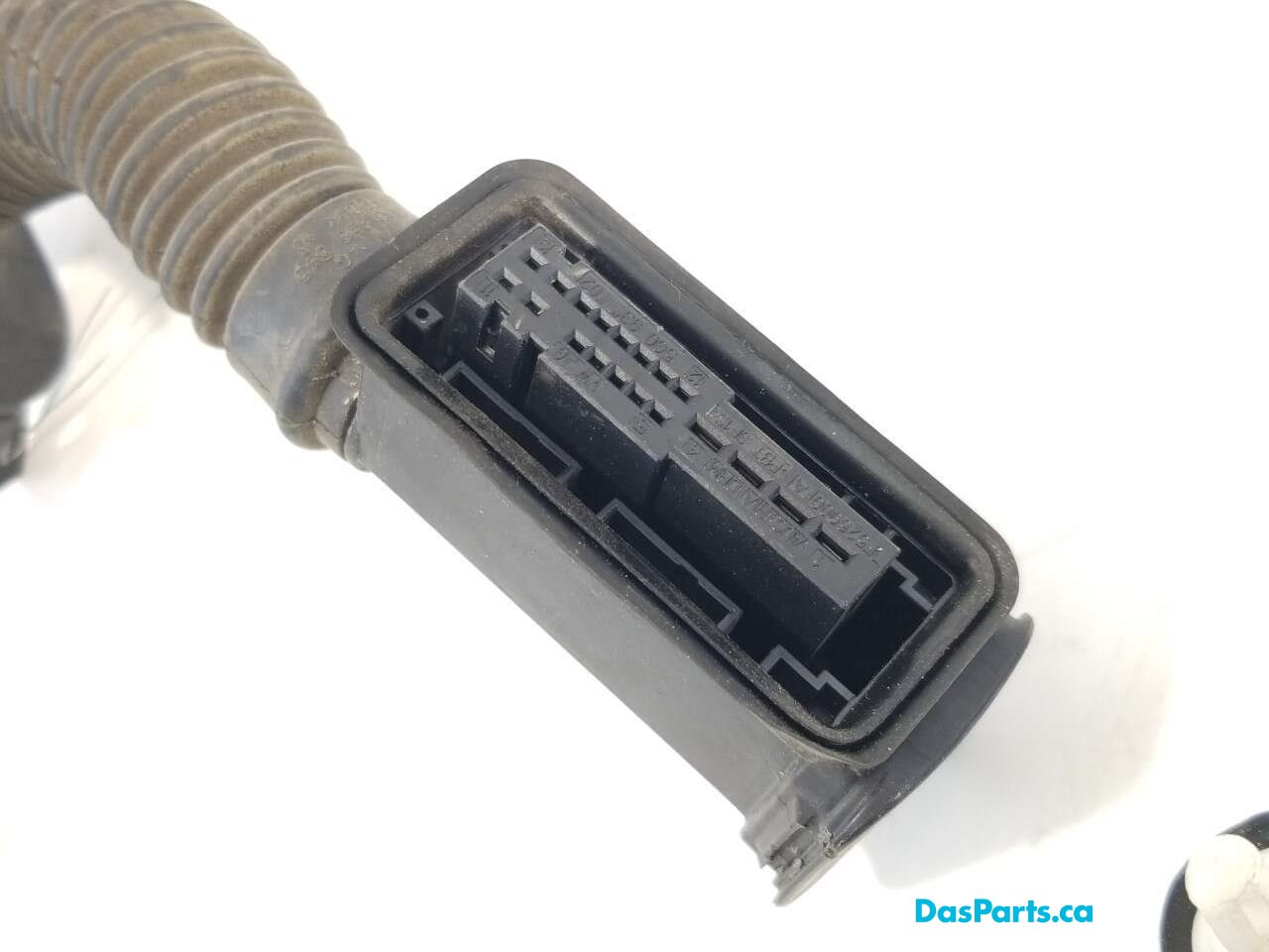 Door Harness RR 1