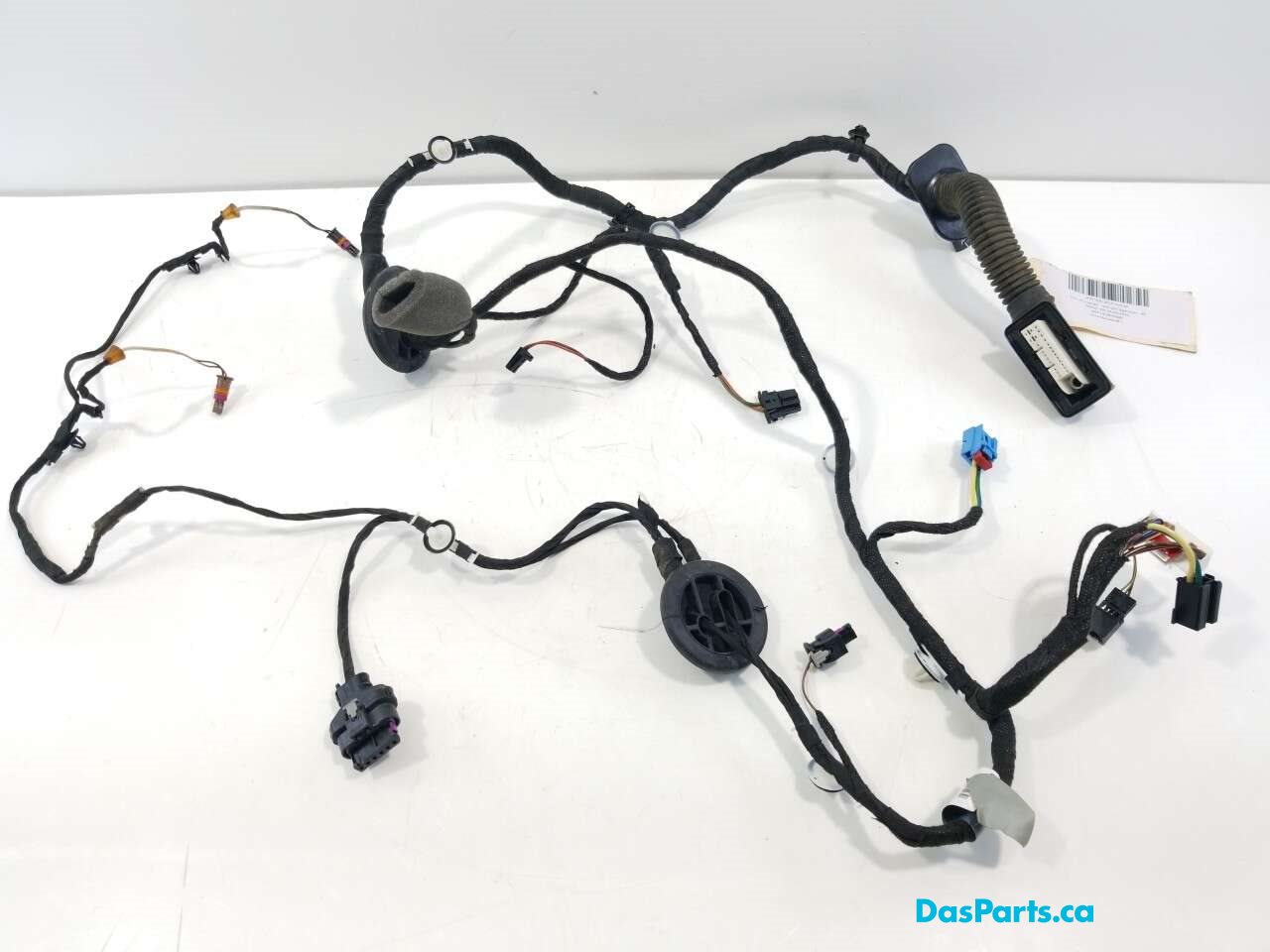 Door Harness RF 1
