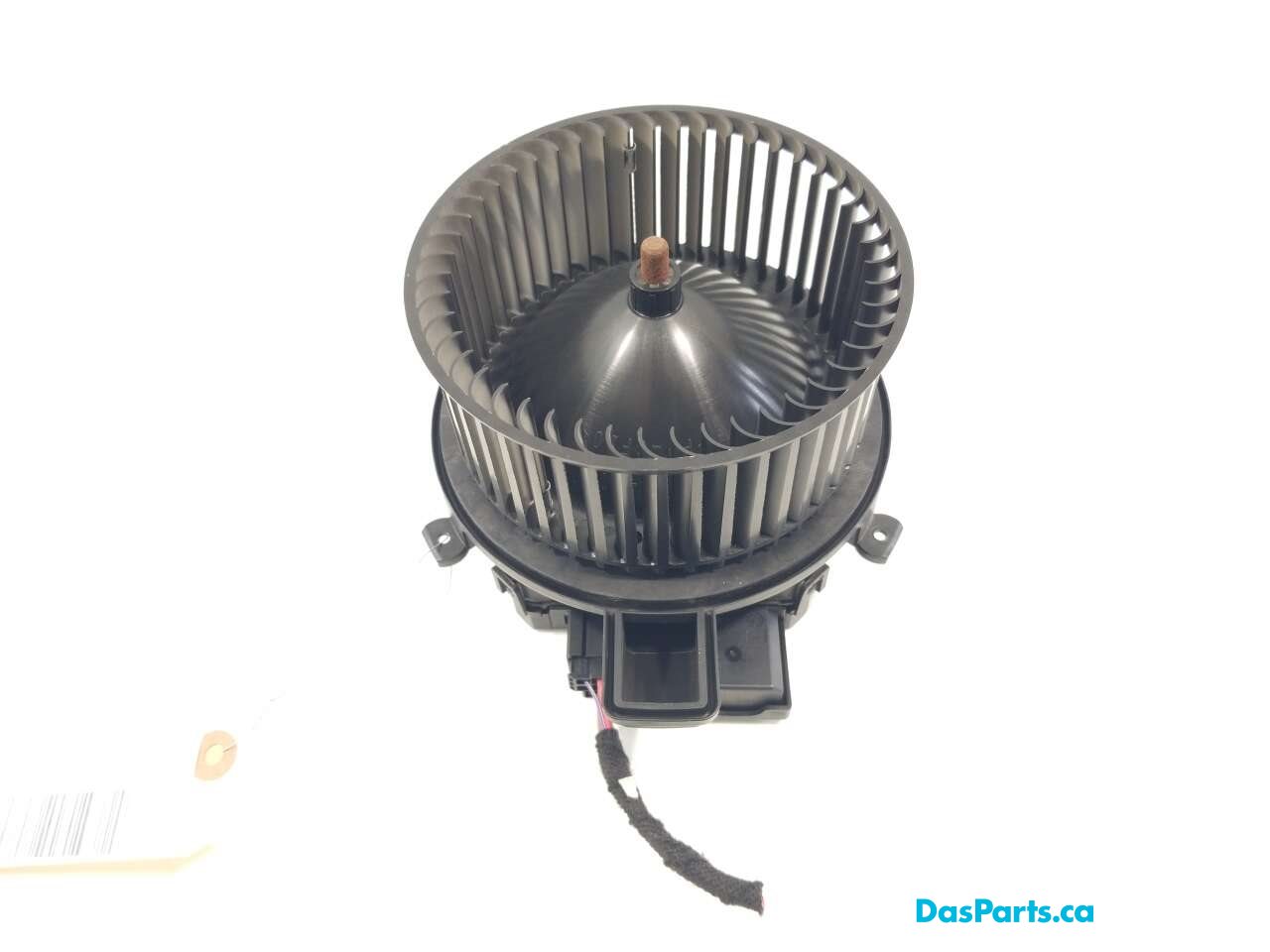 Blower Motor