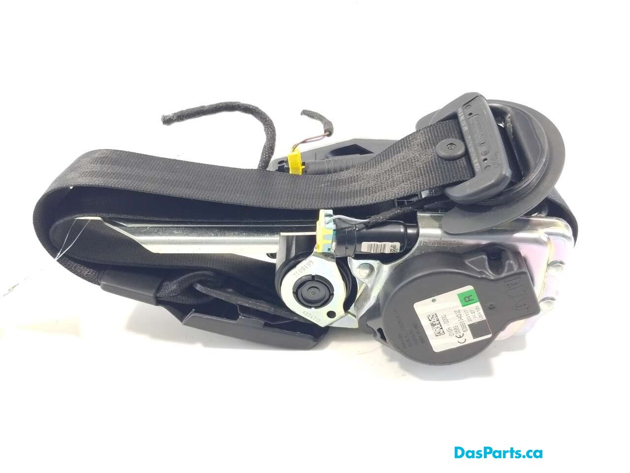 Seat Belt RF
